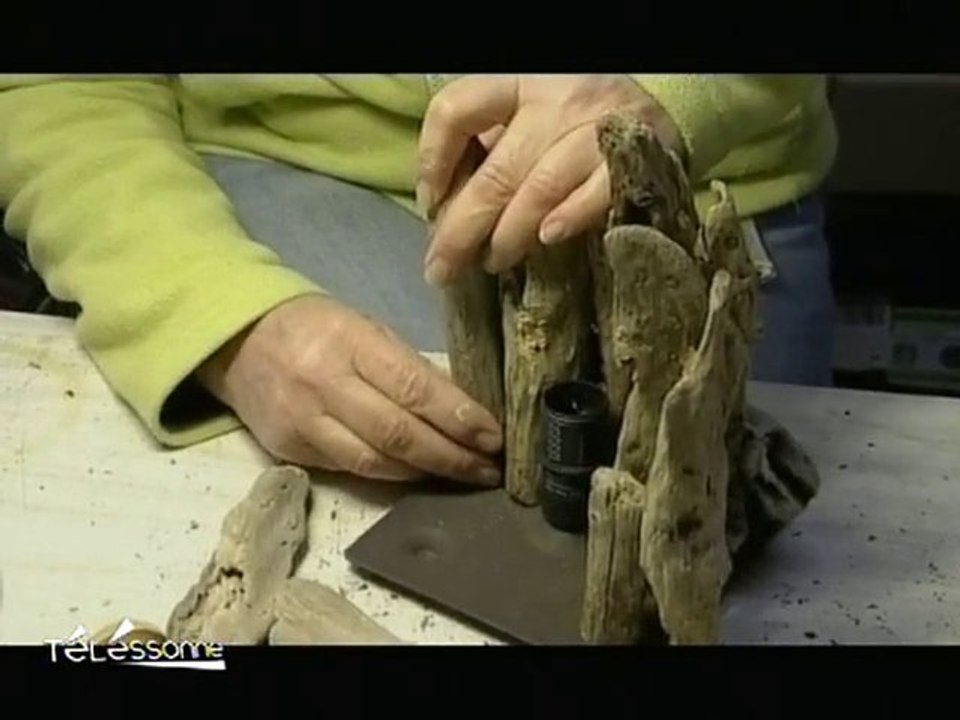 La sculpture du bois flotté (Essonne)