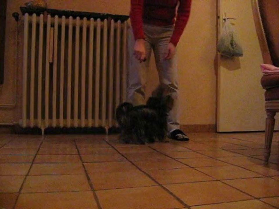 CHALLENGE Nr 3_bis