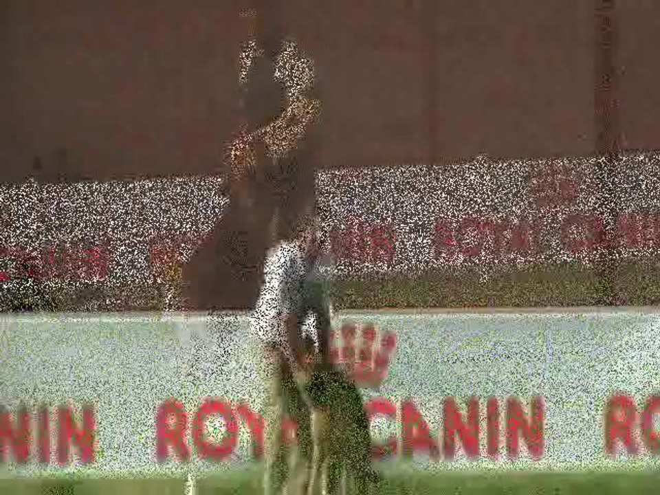 NATIONALE D'ELEVAGE 2009 JULLIANGES (42) BERGERS ALLEMANDS