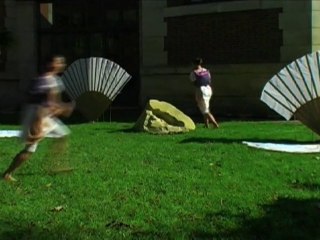 Pigeons Paons, Ménagerie-MNHN oct.2010