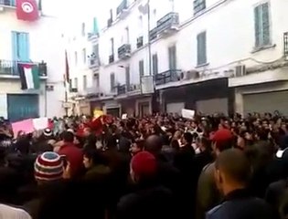 Tunisia _      _ Tunisie