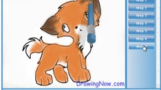 How to draw Anime Animals