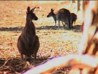 Aritz's Blog from Margaret River