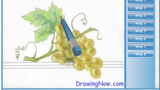 How to draw Grapes