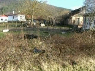 В Болгарии отправляют на убой больных ящуром коров