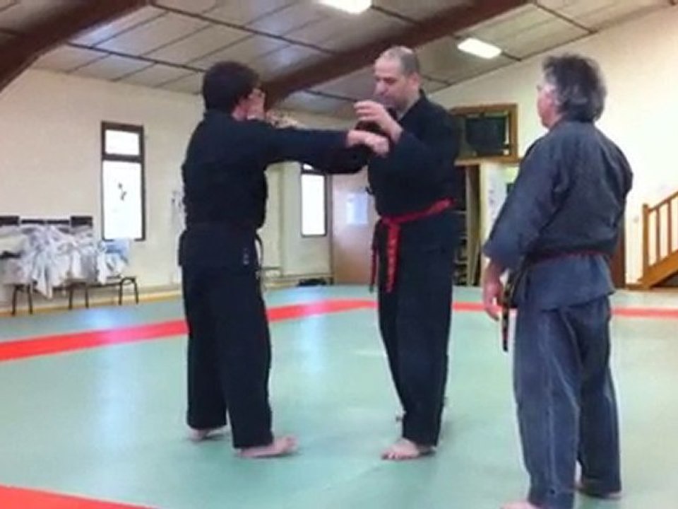 technique blocage coup de poing