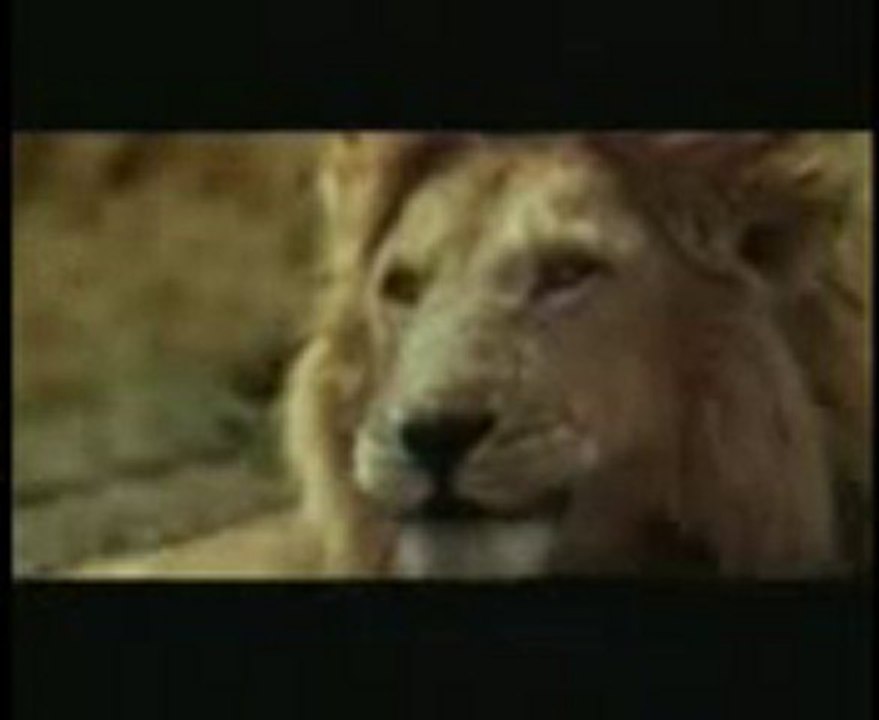 Funny By greensentiments.com