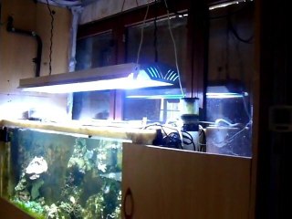 fibre de verre pour un aquarium^^ suite