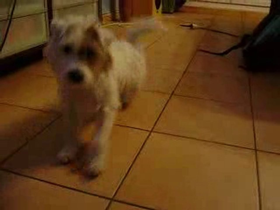 Chipie roule !!