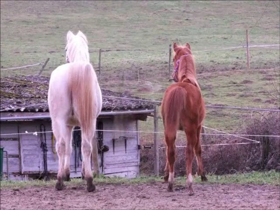 mes loulous s'éclatent !