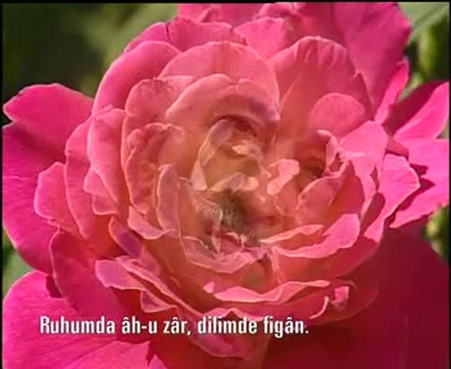 Kırık Mızrap Klipleri 04 - İnsanlığın Efendisi