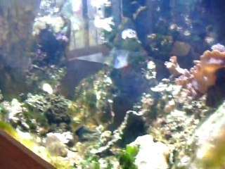 bac en fibre de verre, perçage facile. 15 ans déjà.