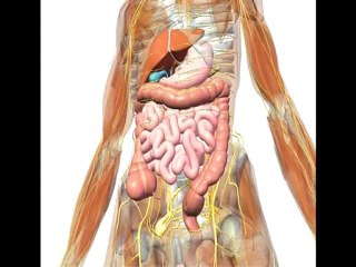 Rastlantısal Düşünceler uzay yolu