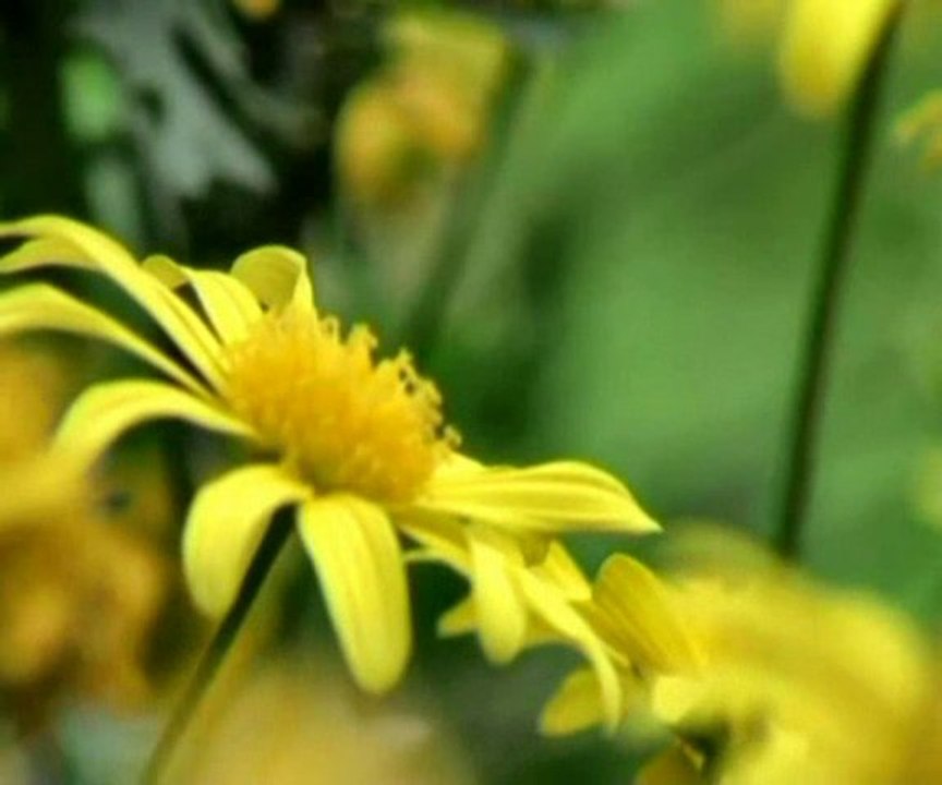 Pour 2011, je prédis...