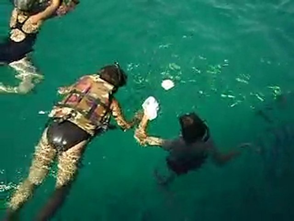 plongée aux iles de Kho Chang