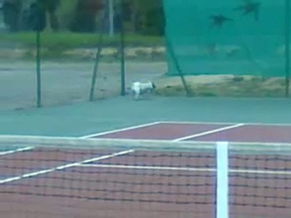 CALINE AU TENNIS