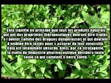 L'UE interdit la médecine par les plantes au 01-04-2011