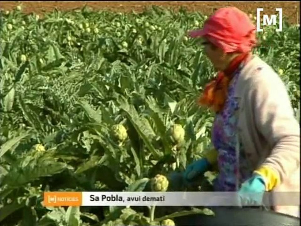 Mallorca Notícies Migdia
