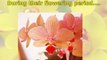 Care of Phalaenopsis Orchids - Moth Orchids