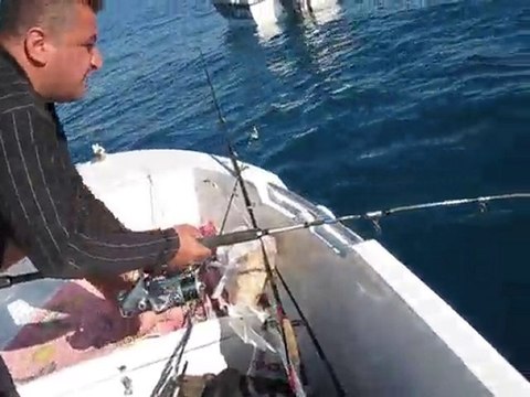 ANTALYADA JIGLE BALIK AVIMIZ