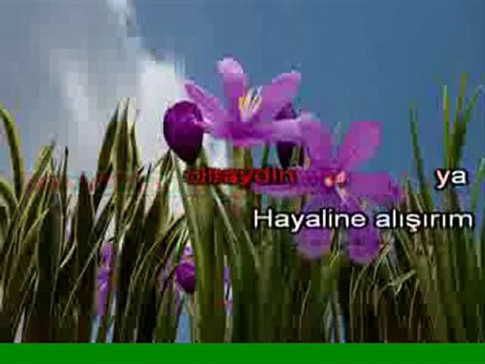 Sev Diyemem... SeWdali...
