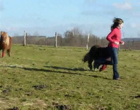 seance minis janvier 2011