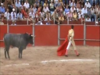 Raul VELASCO Corrida Pioz 2008 - Faena 1 -