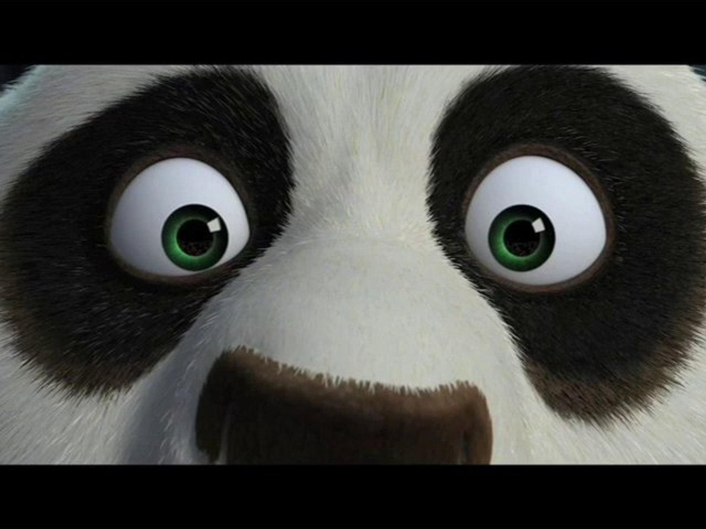Kung Fu Panda Face Close Up