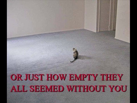 It's Been A Lonesome Old Lonesome Long Time