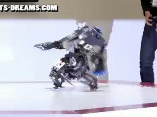 ROBO-ONE Humanoid Helper Robot: Lightweight Tournament