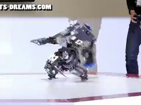 ROBO-ONE Humanoid Helper Robot: Lightweight Tournament