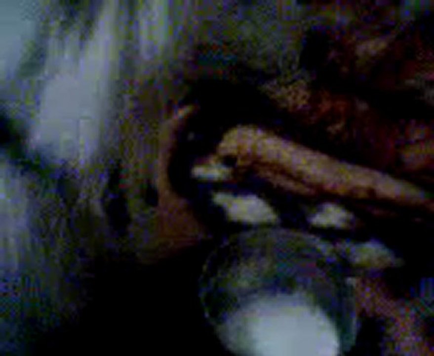 Video0061