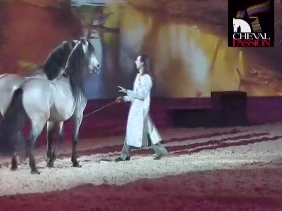 Festival Cheval Passion 2011 (Avignon)