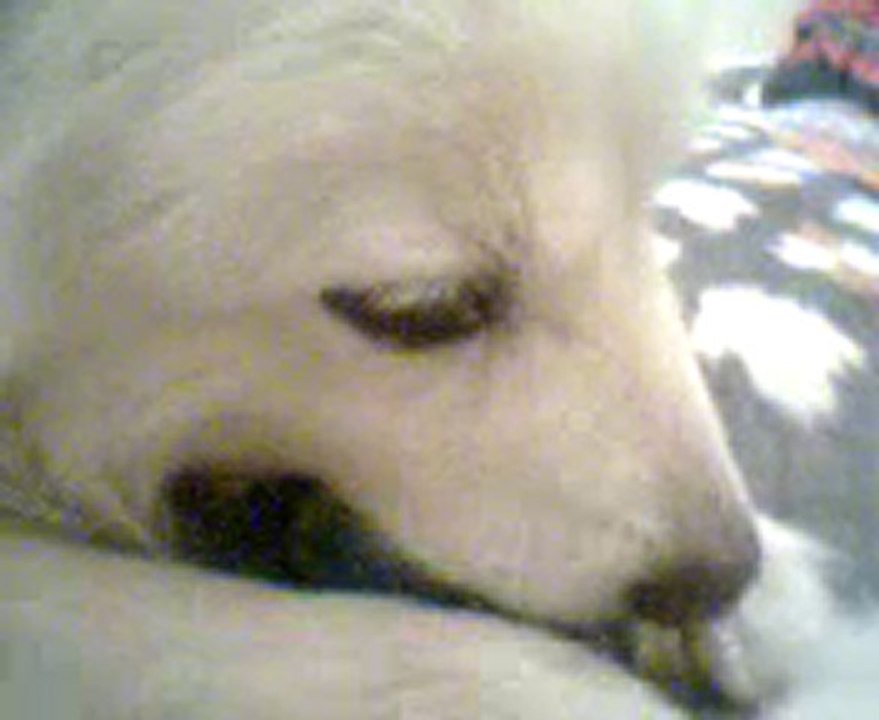 Video0065