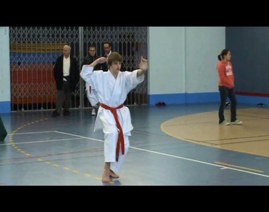coupe de france kata 2011, corpo