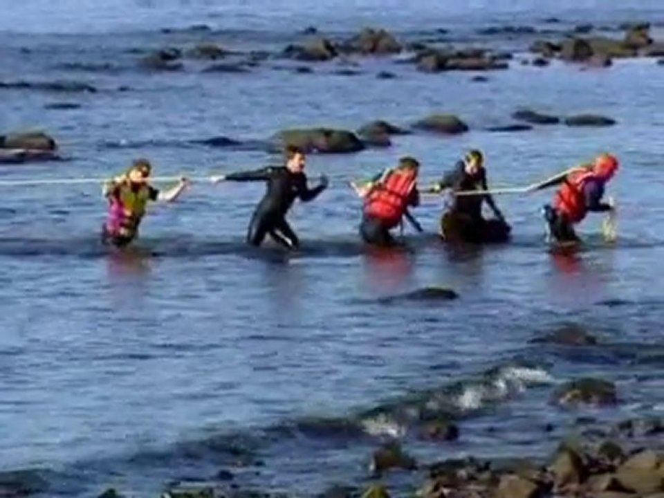Hot air balloon makes watery landing
