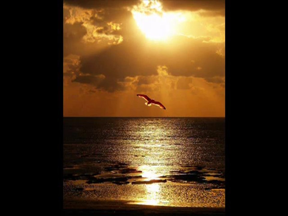 o yarin zülfün getir derim, Semazen Onbir