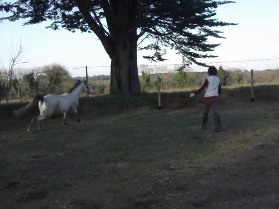 milord