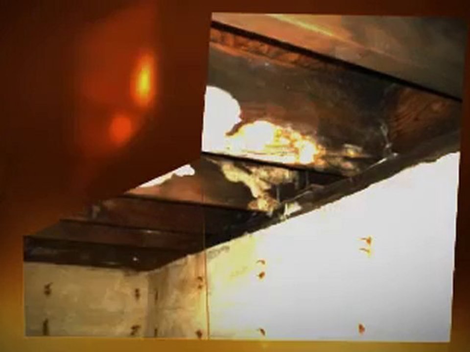Cleaning Mold Amarillo
