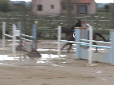 Djancour CSO Vacquiers 115cm