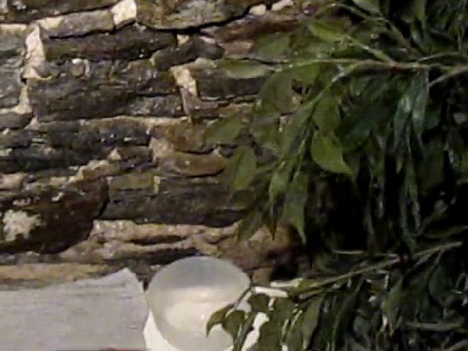 video dégats des eaux 19.01.2011