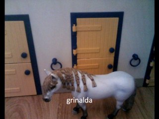 presentation du ranch du soleille