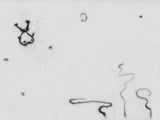 Petit poisson deviendra grand, on a toujours besoin d'un...