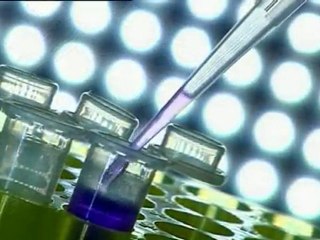 La Thérapie Génique