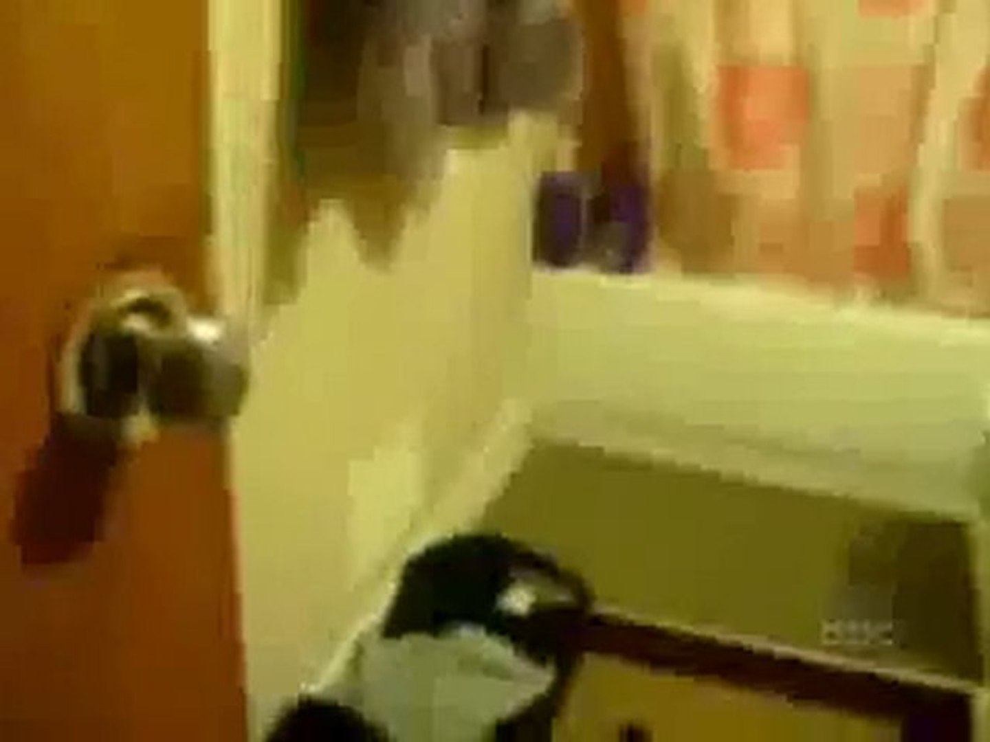 komik videolar