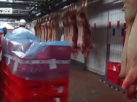 Pigs at dumping prices | Made in Germany