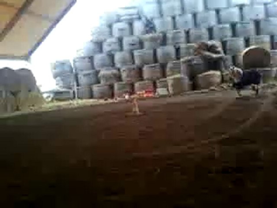 teddy-west  yaou petage de cable