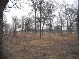 376 Colorado, Cedar Creek, TX 78612