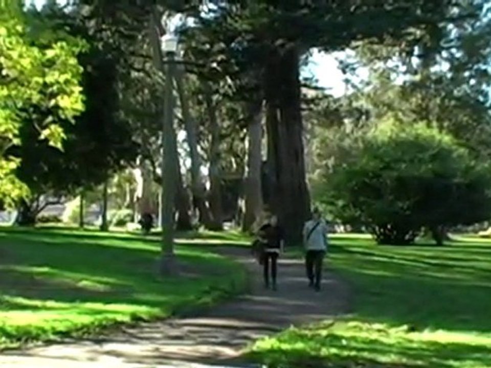 San Francisco - Haight Ashbury - Neighborhood Video