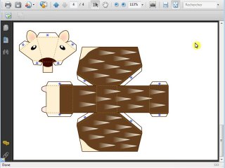 Comment capturer et enregistrer une image d'un document PDF